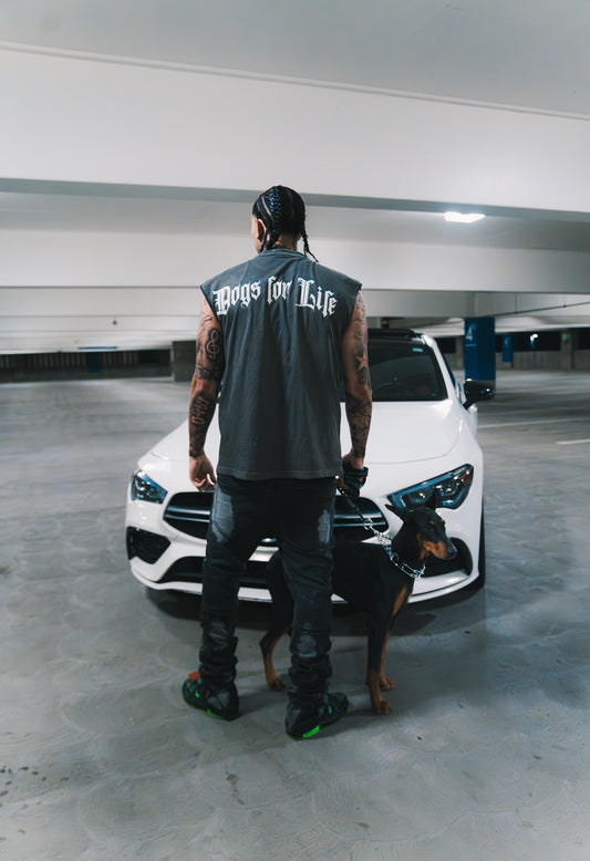 Dogs For Life