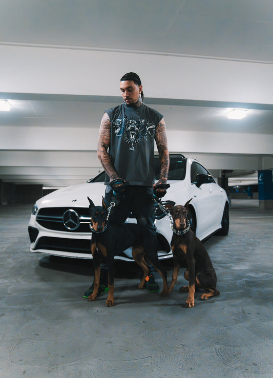 Dogs For Life